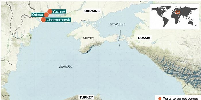 烏俄隔空達成黑海運糧協議，國際糧食危機有望緩解